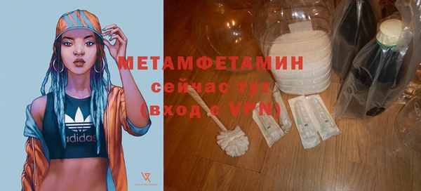 сатива Корсаков