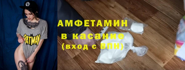 сатива Корсаков