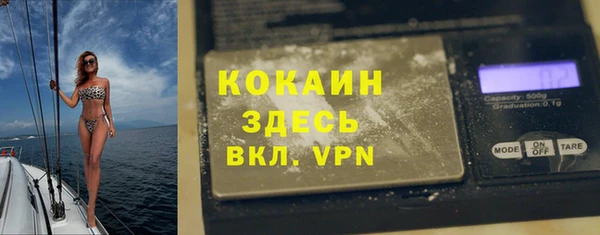сатива Корсаков