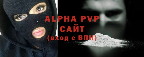 сатива Корсаков