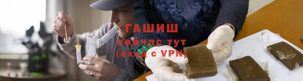 сатива Корсаков