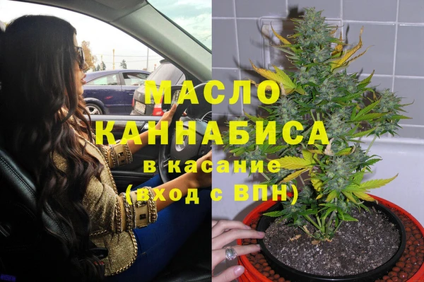 сатива Корсаков