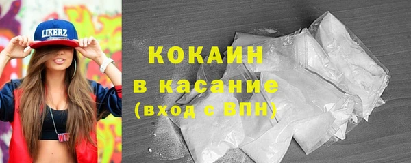 сатива Корсаков
