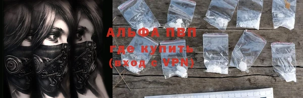 сатива Корсаков