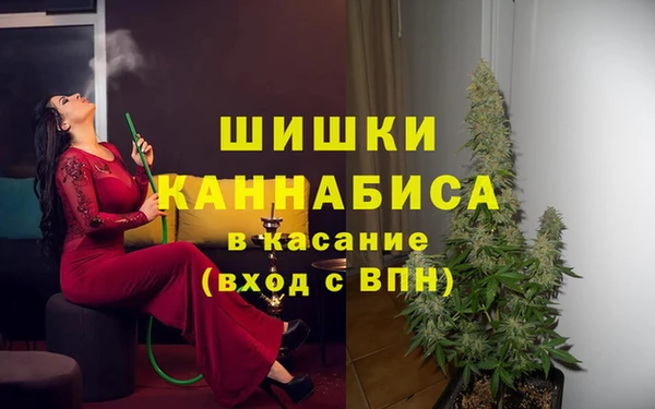 сатива Корсаков